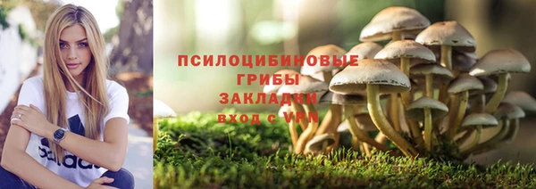 jwh Тайга