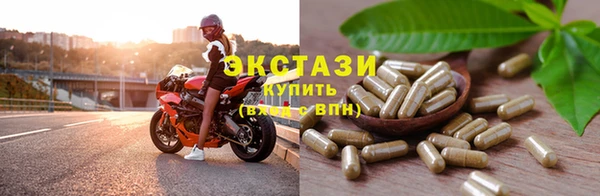 стаф Верея