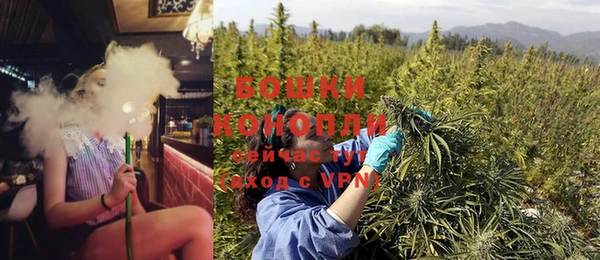 бошки Тавда