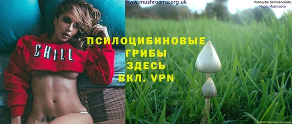 a pvp Волоколамск