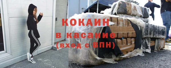 бошки Тавда